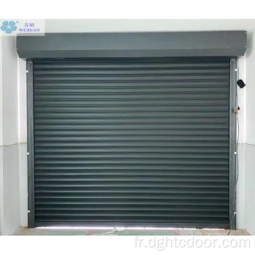 Porte de garage d'obturateur à rouleaux d'aluminium électrique résidentiel